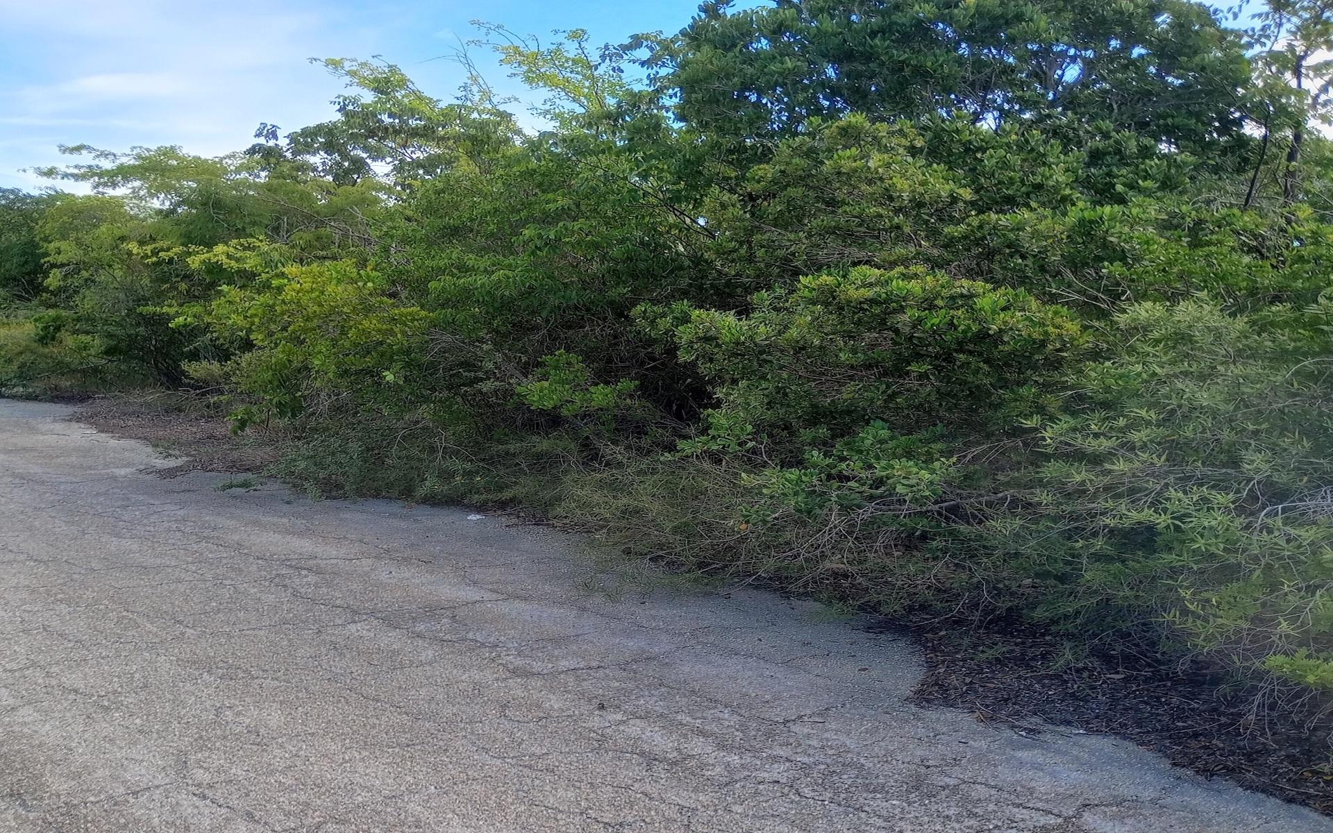 LOT 17713 COLEUS DRIVE