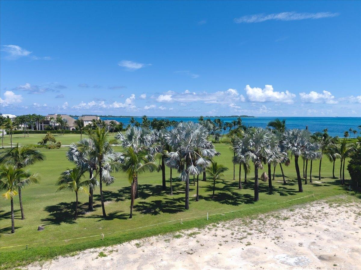 PARADISE ISLAND