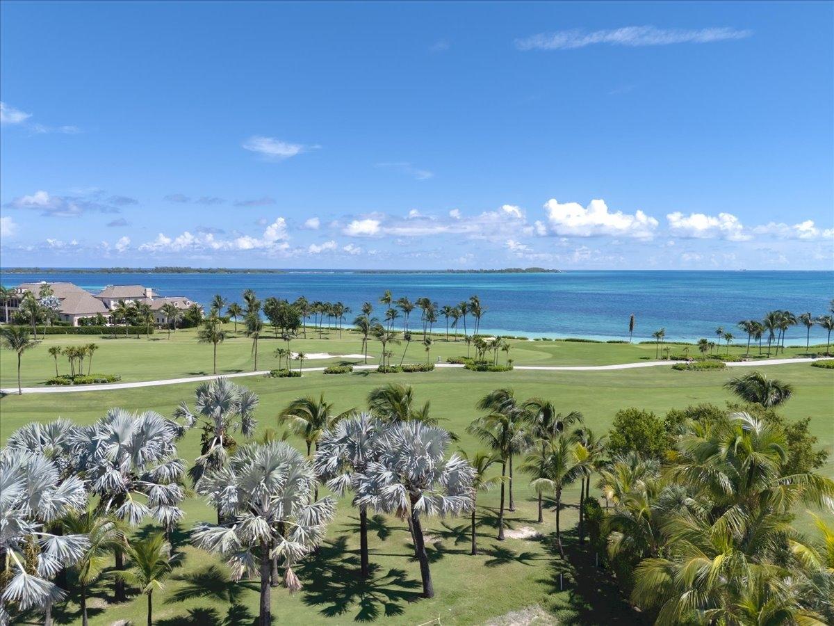PARADISE ISLAND
