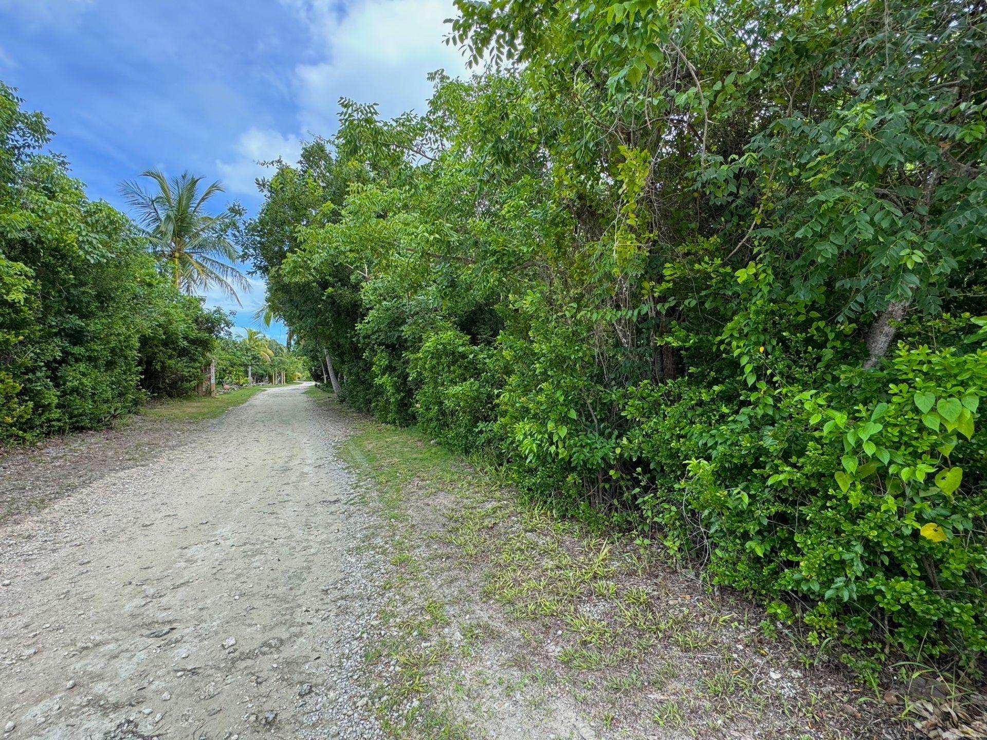 LOT 129 ABACO OCEAN CLUB