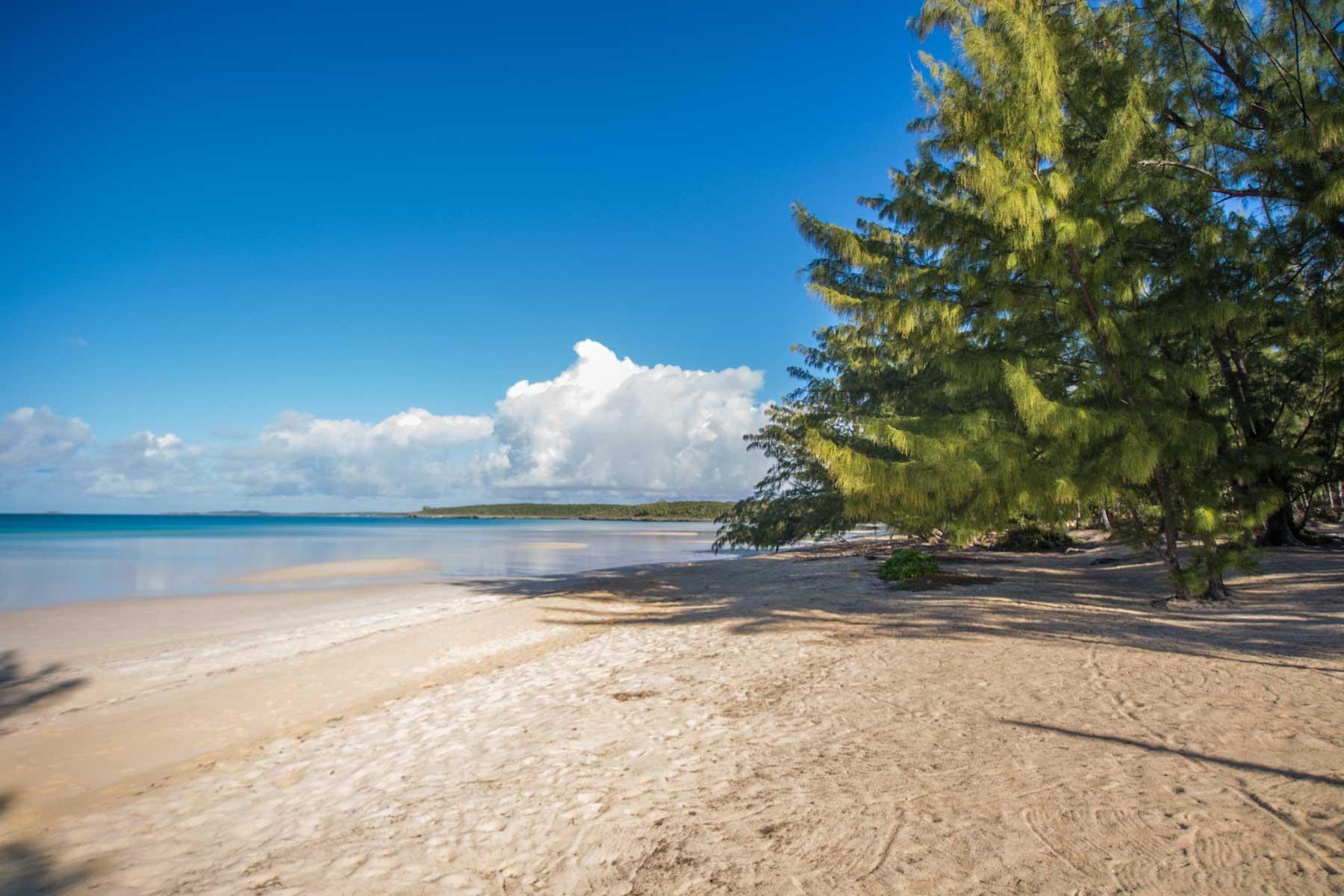 TIPSY PALM VILLA, TEN BAY