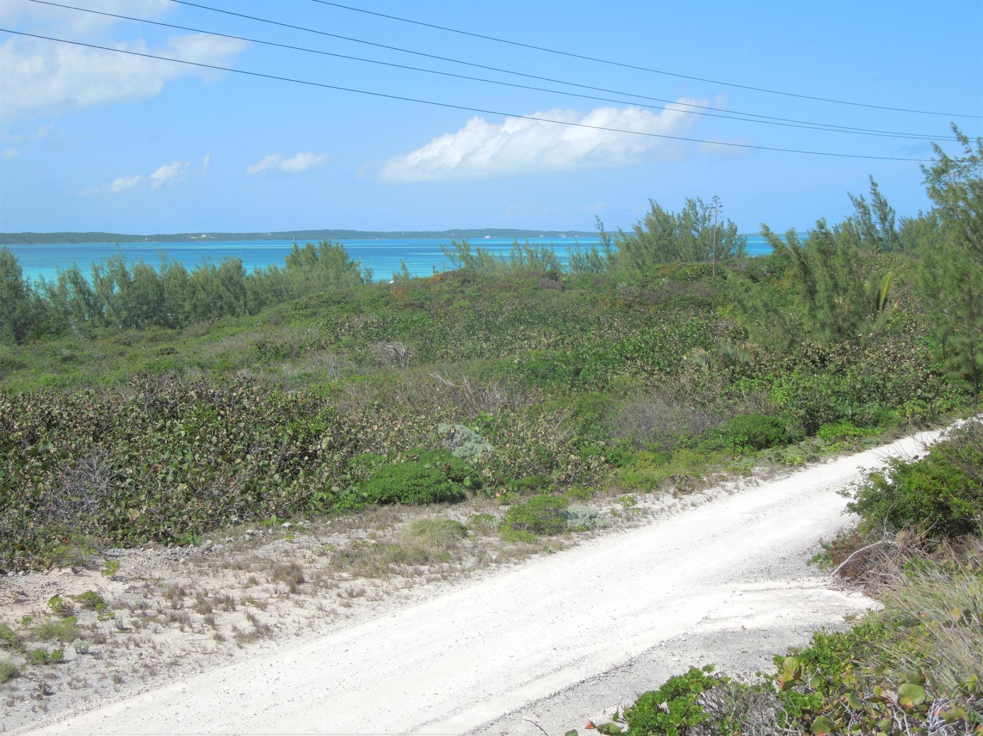 Whale Point Lot