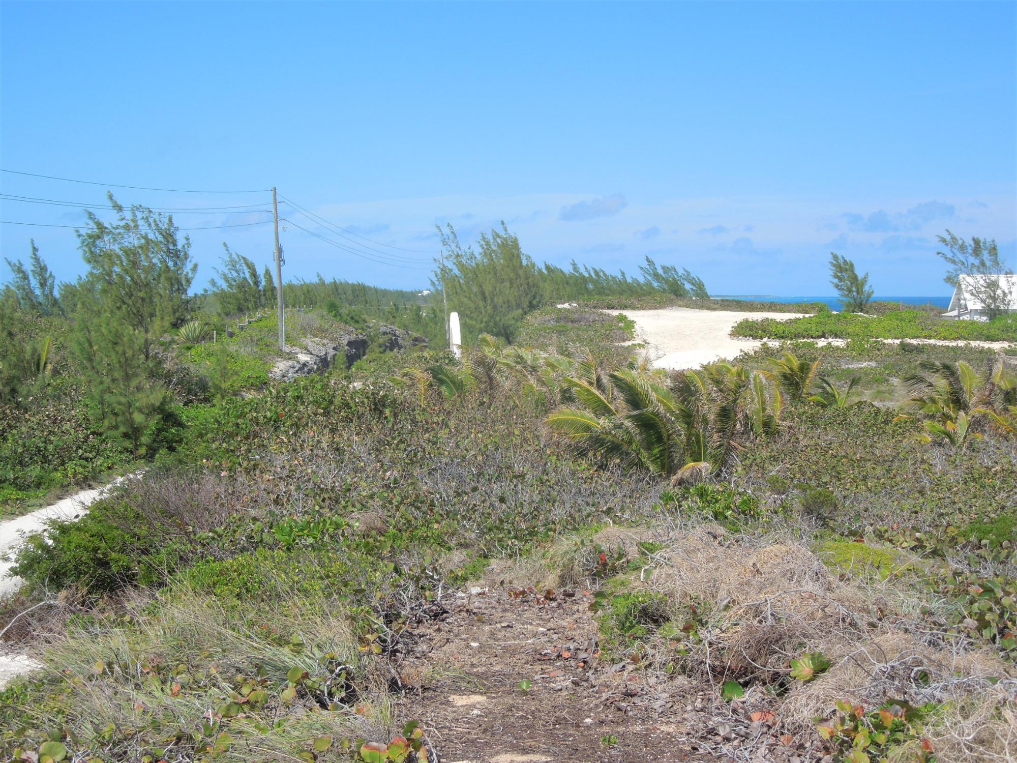 Whale Point Lot