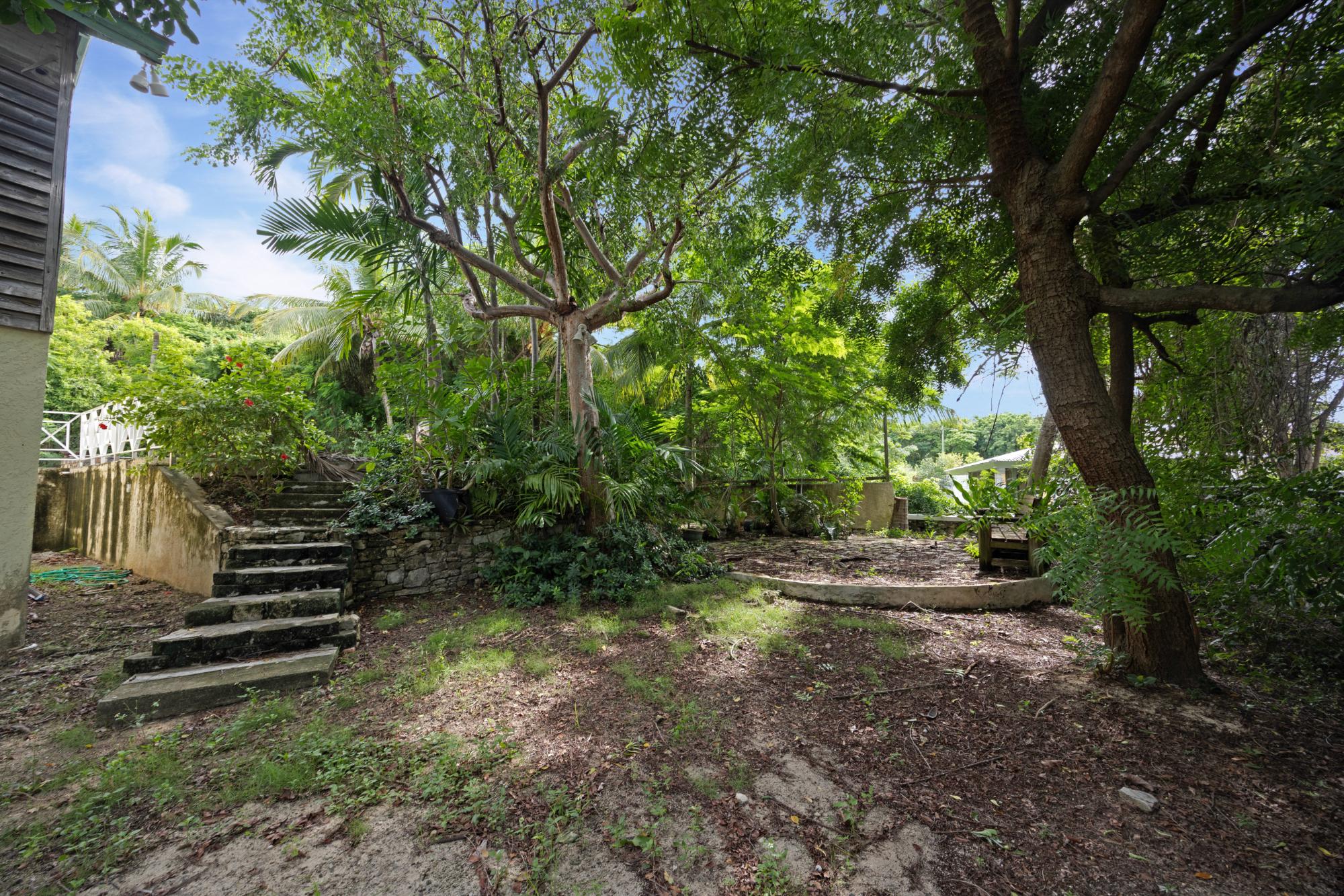 SUGAR APPLE STREET