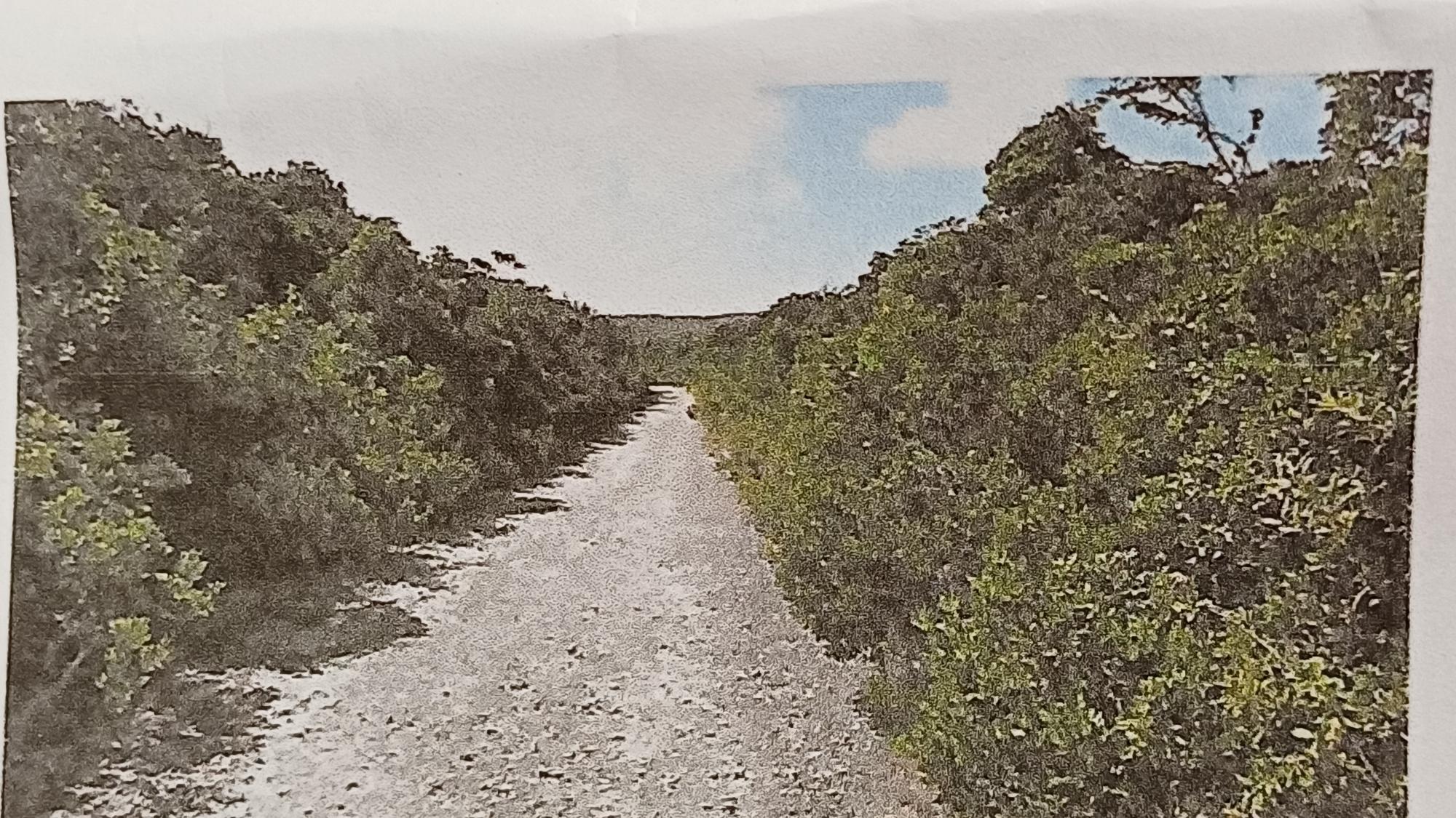 Mixed Use vacant lot