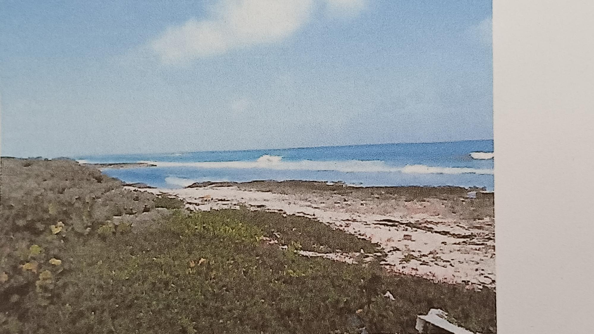 Mixed Use vacant lot