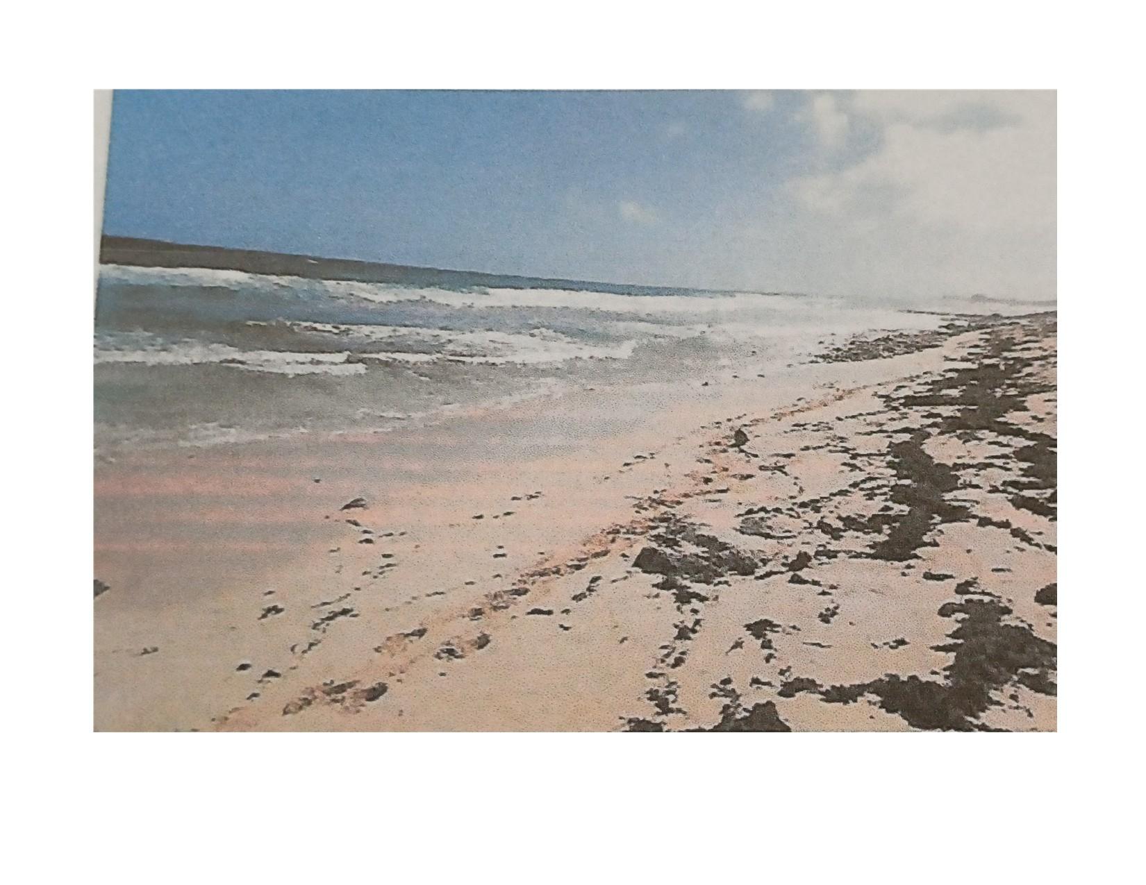 Mixed Use vacant lot