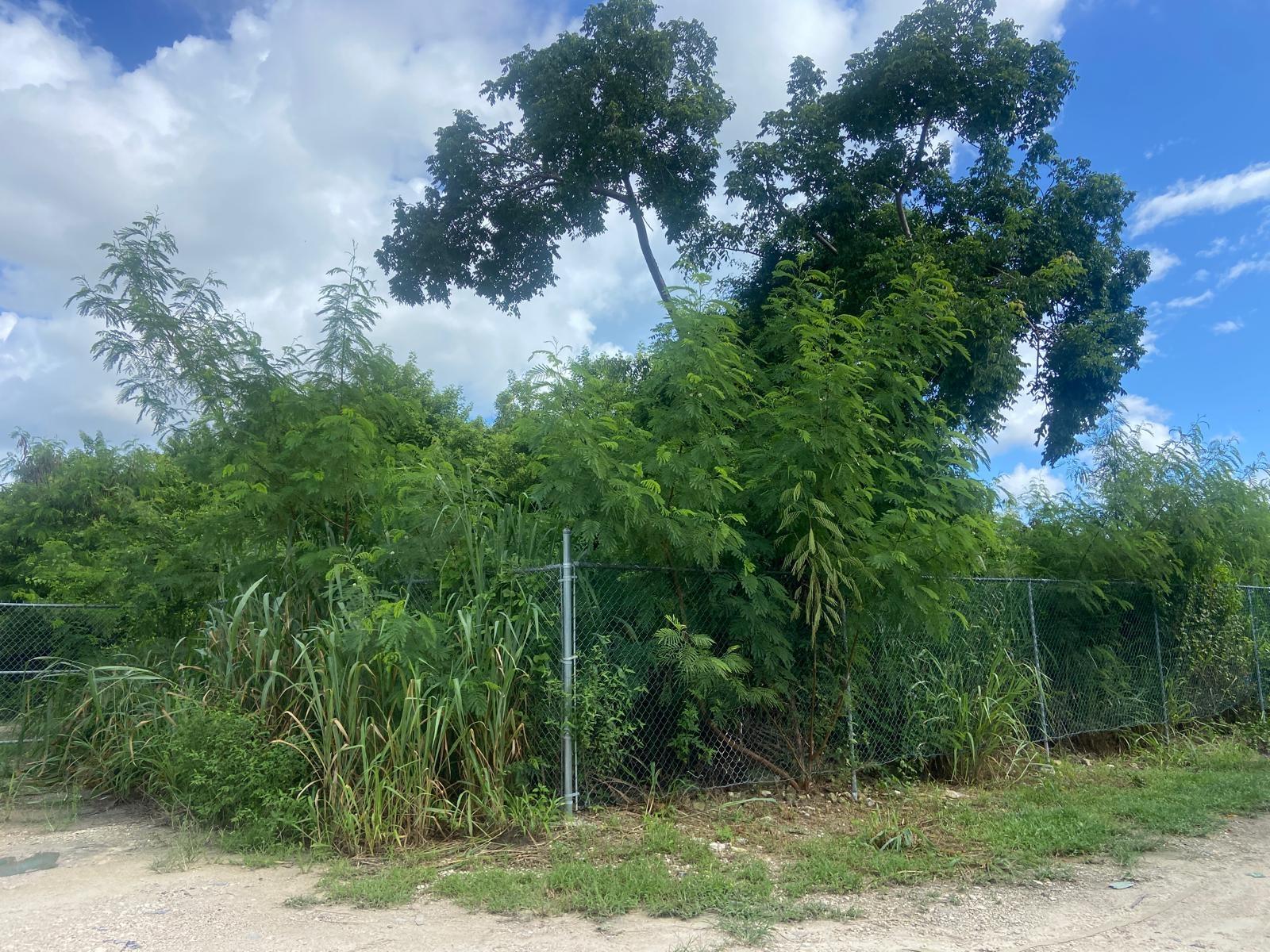 LOT ON CARROL’S WAY