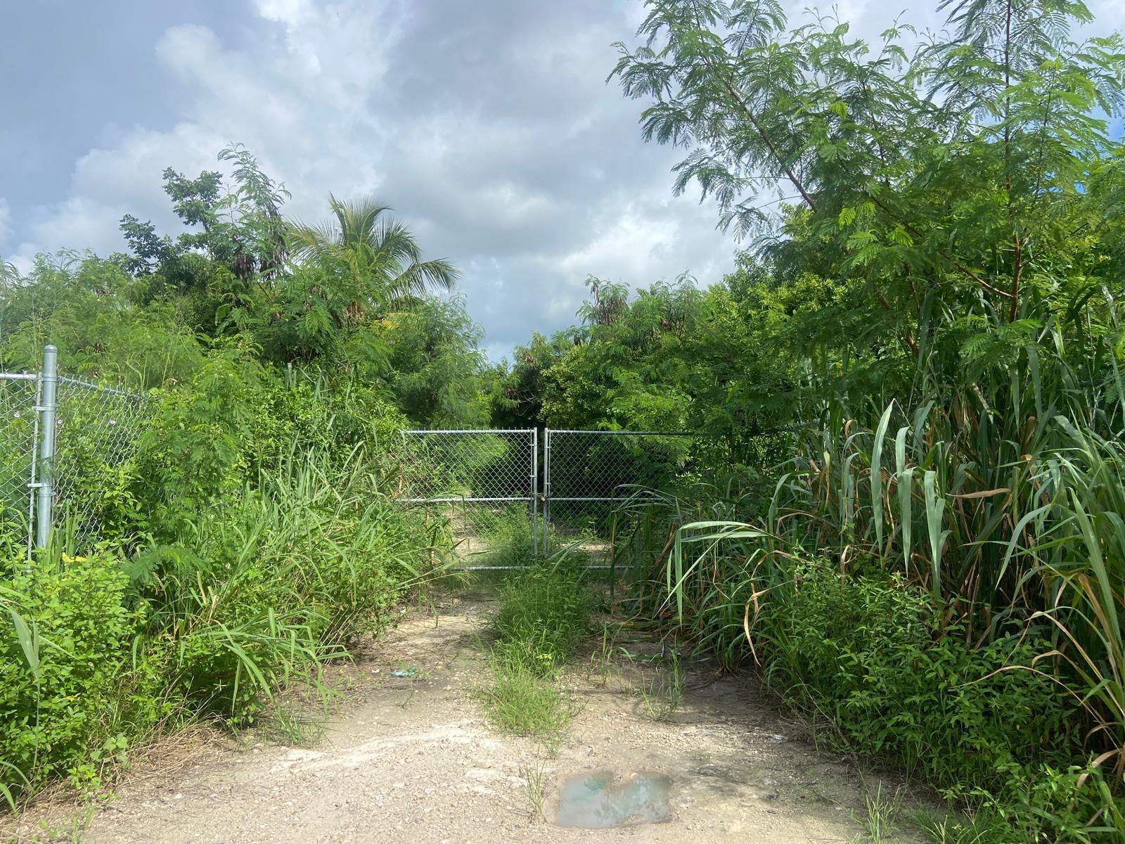 LOT ON CARROL’S WAY