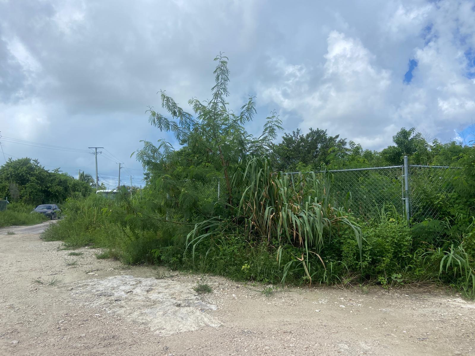 LOT ON CARROL’S WAY