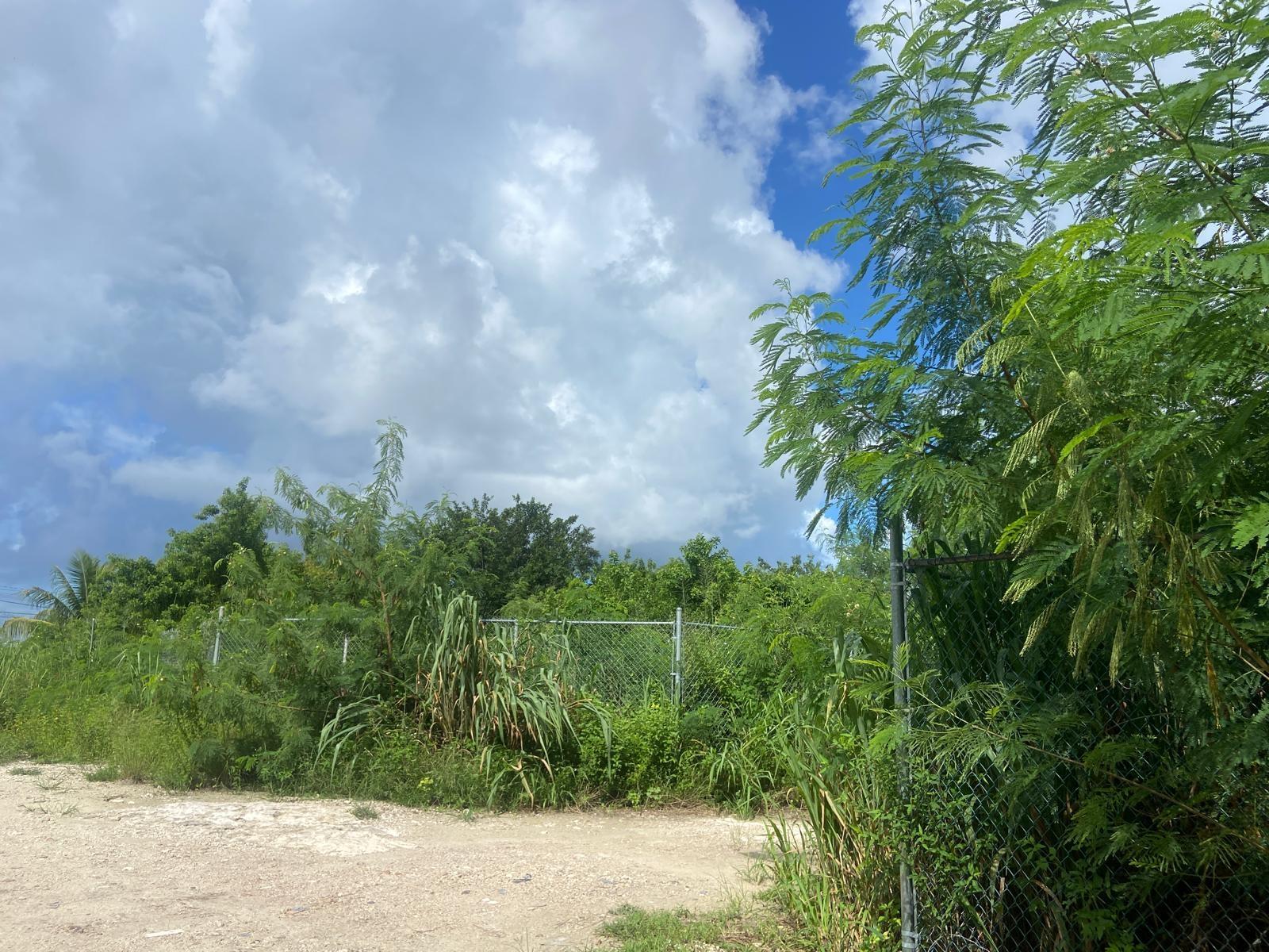 LOT ON CARROL’S WAY