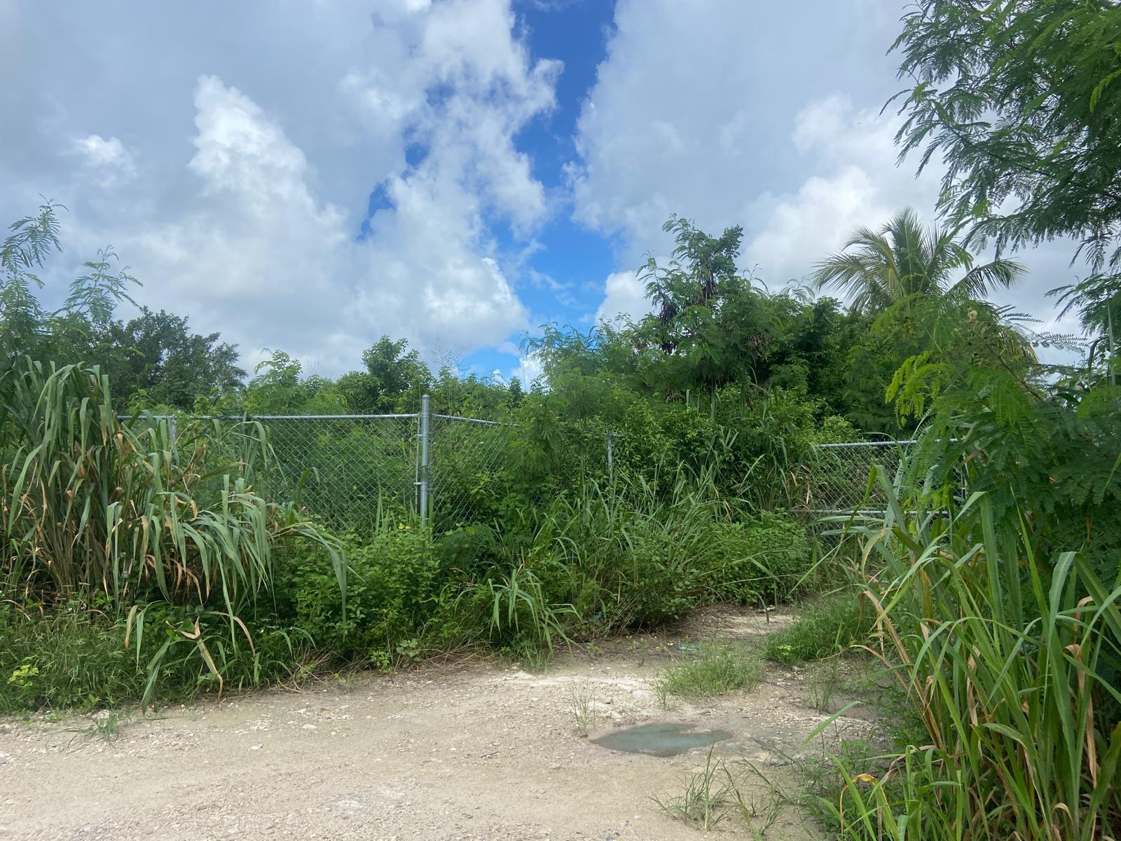 LOT ON CARROL’S WAY