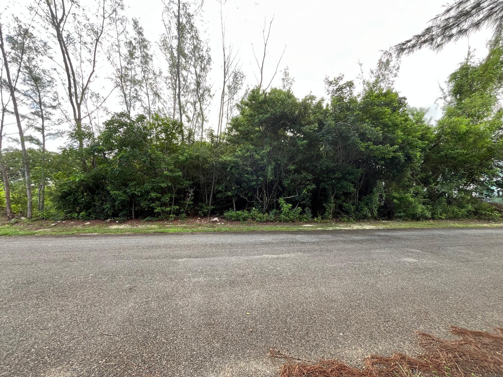 JACARANDA ESTATES