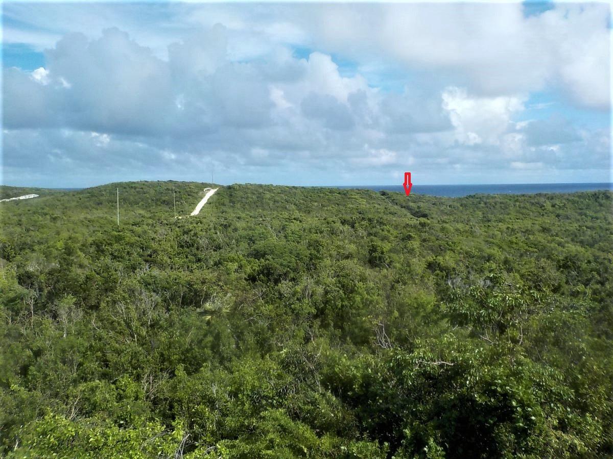 OCEAN FRONT ACREAGE