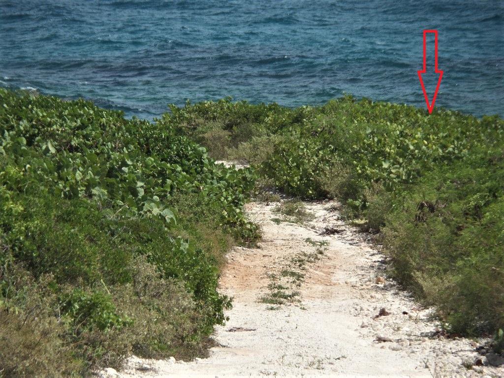 OCEAN FRONT ACREAGE