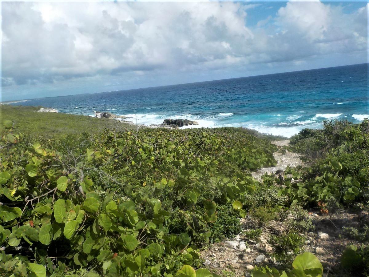 OCEAN FRONT ACREAGE