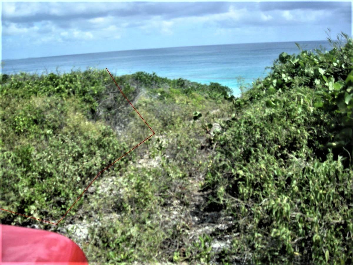 OCEAN FRONT ACREAGE