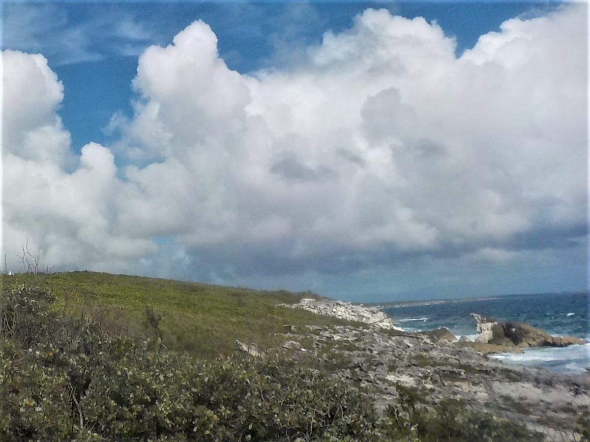 OCEAN FRONT ACREAGE