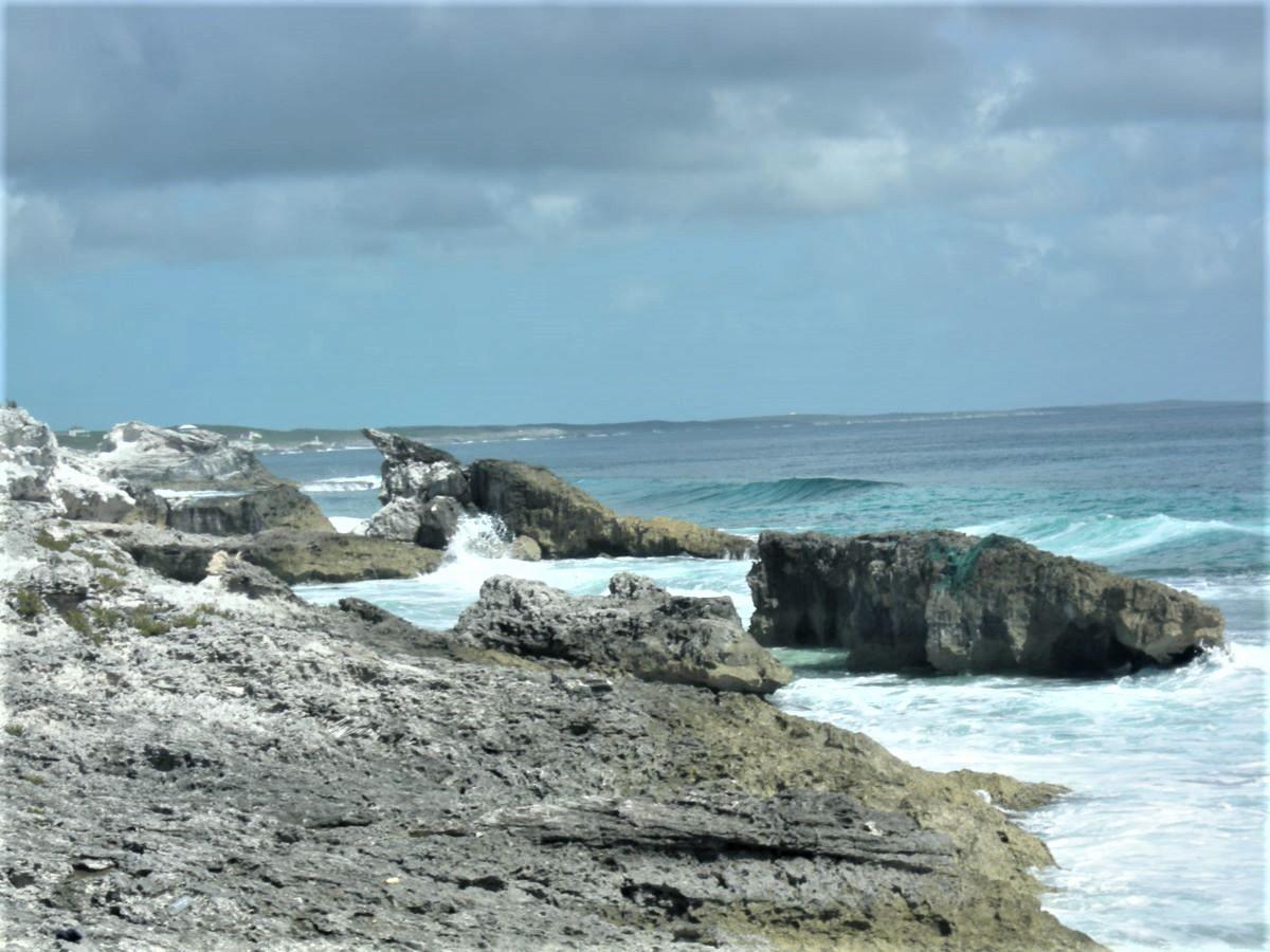 OCEAN FRONT ACREAGE