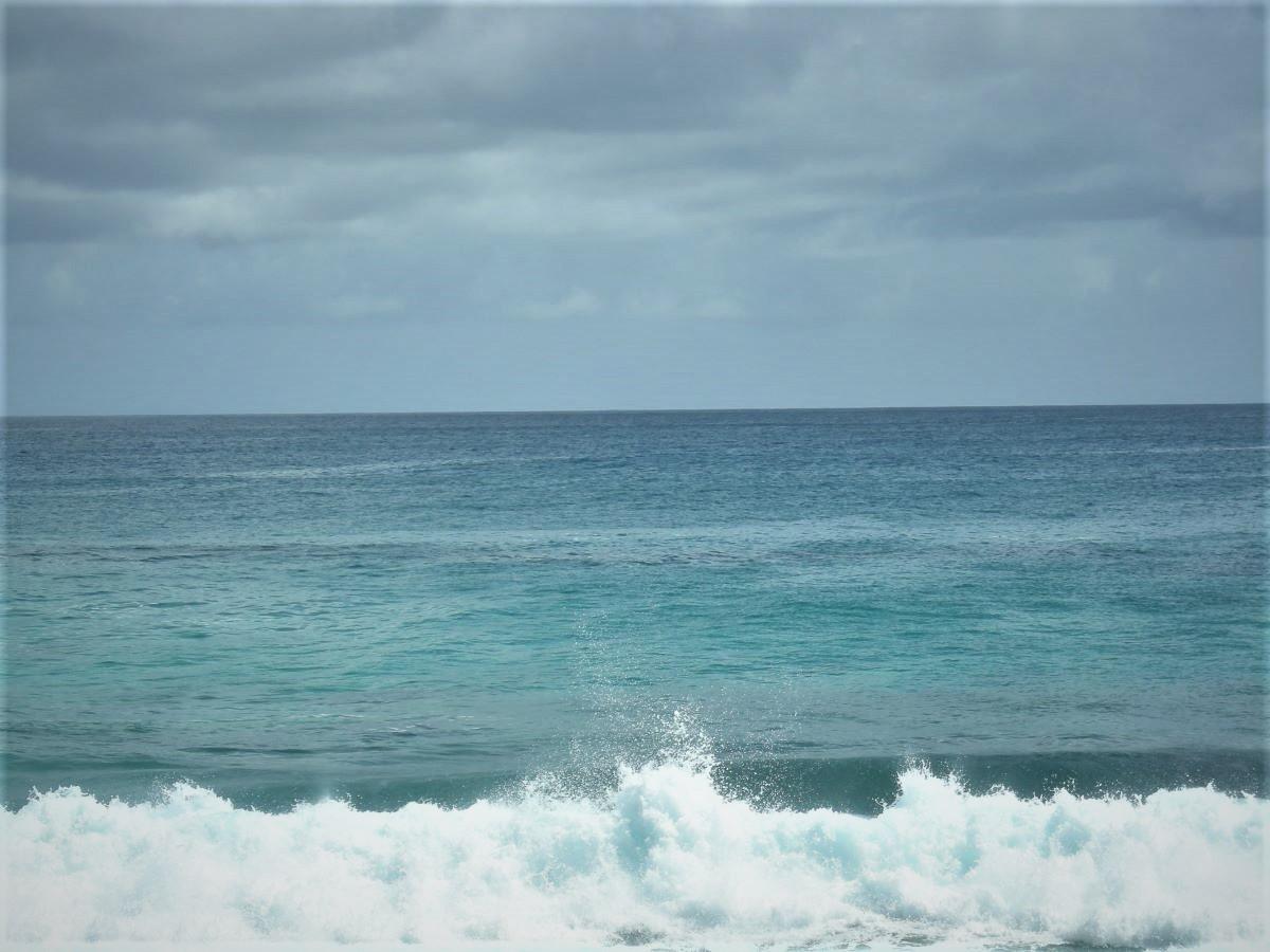 OCEAN FRONT ACREAGE