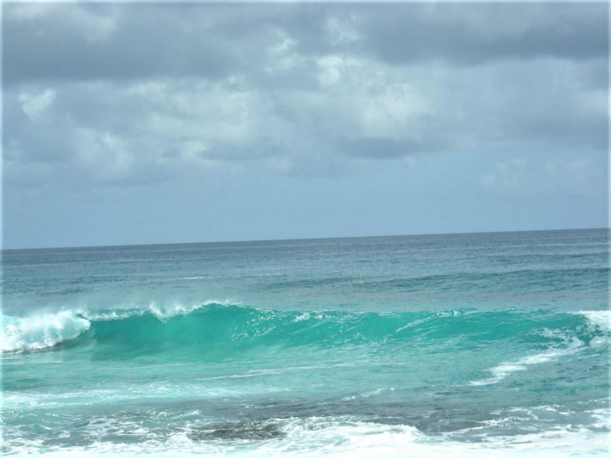 OCEAN FRONT ACREAGE