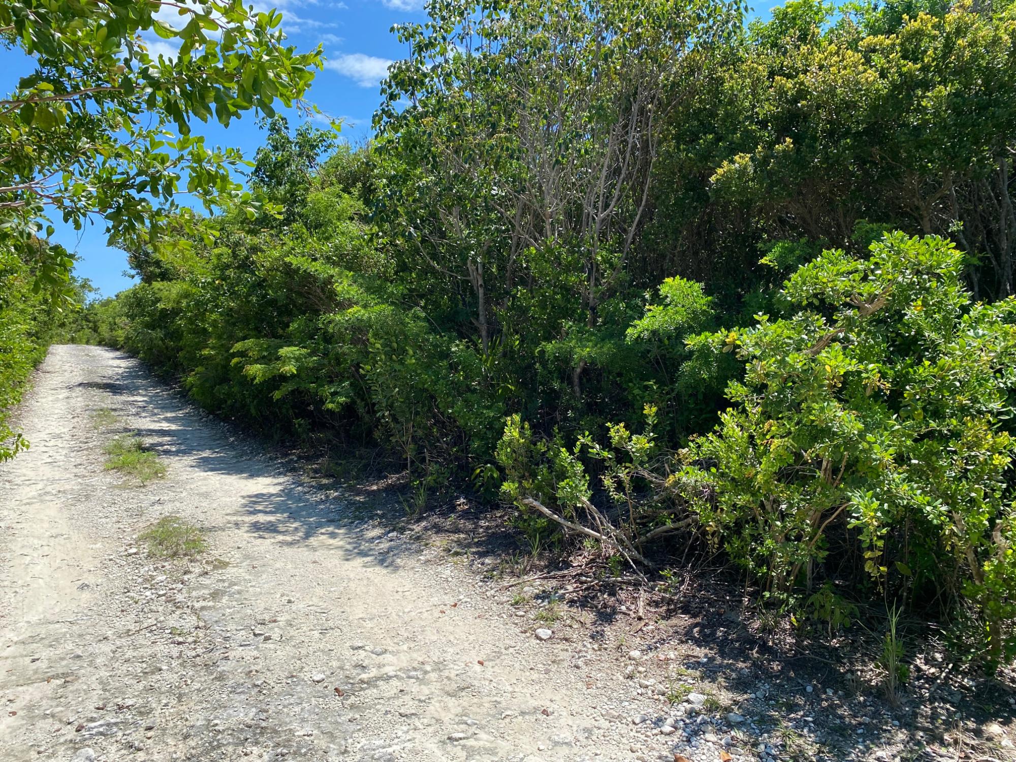 ELEUTHERA ISLAND SHORES