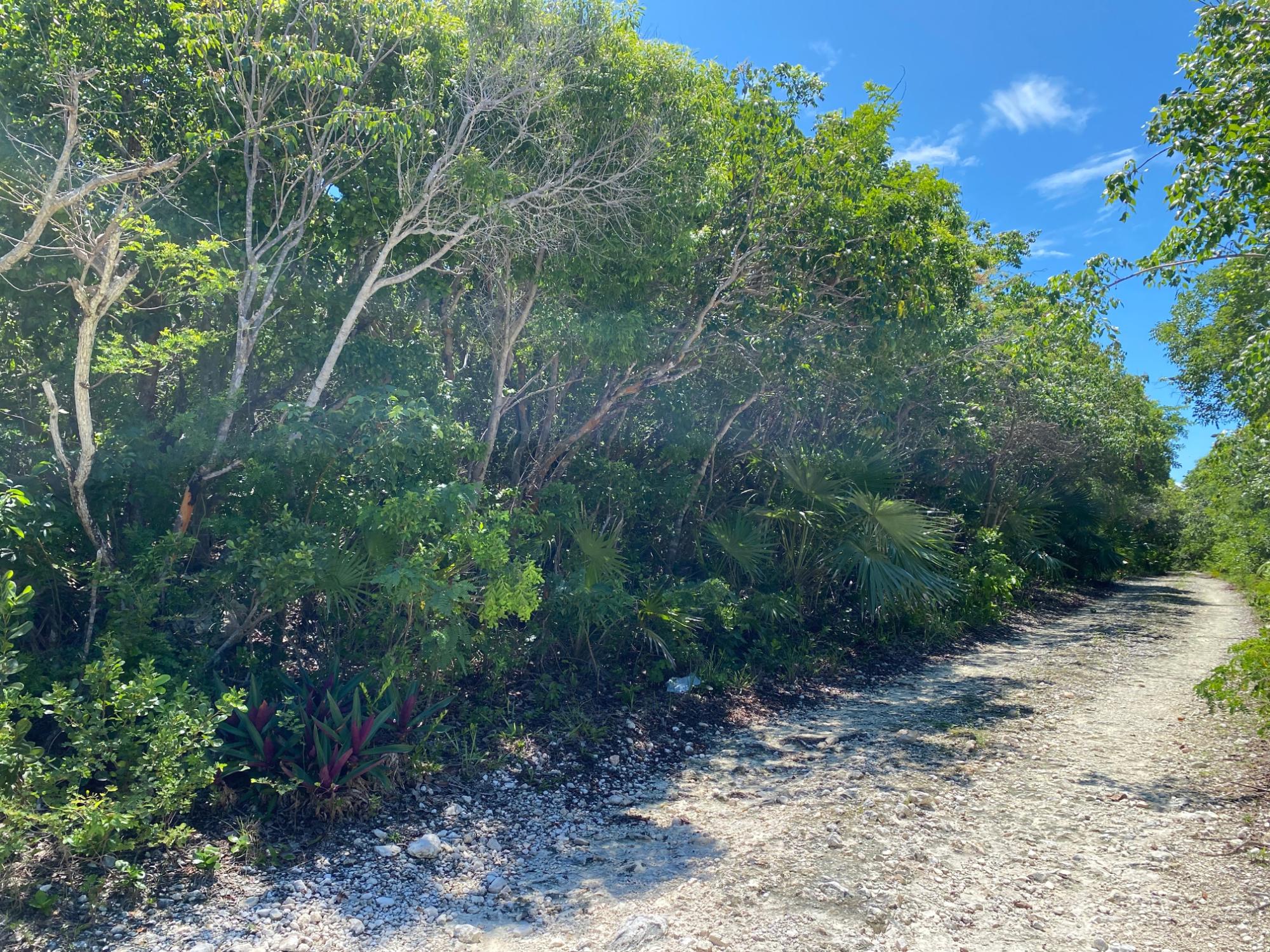 ELEUTHERA ISLAND SHORES
