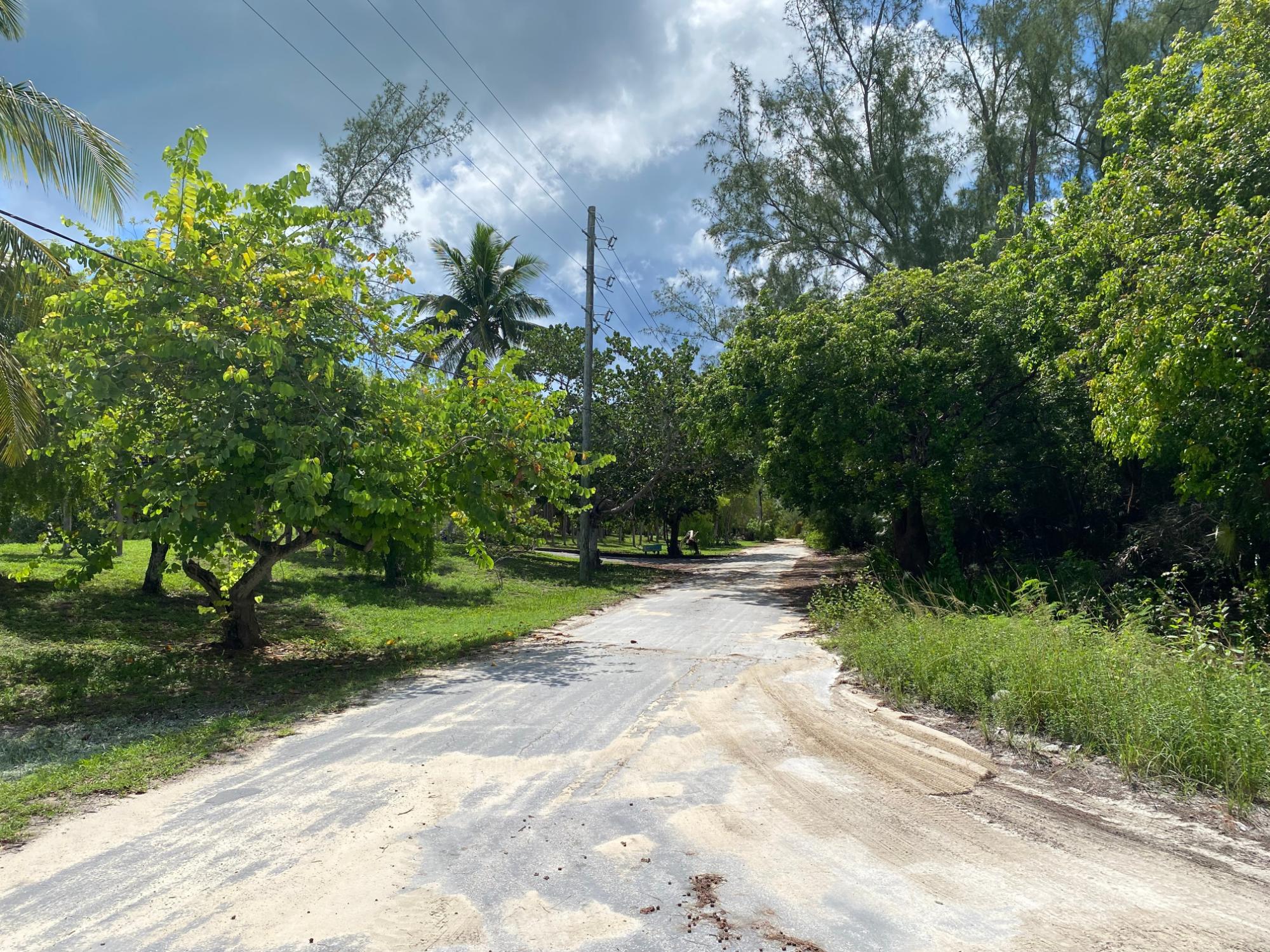 NORTH PALMETTO POINT, ELE