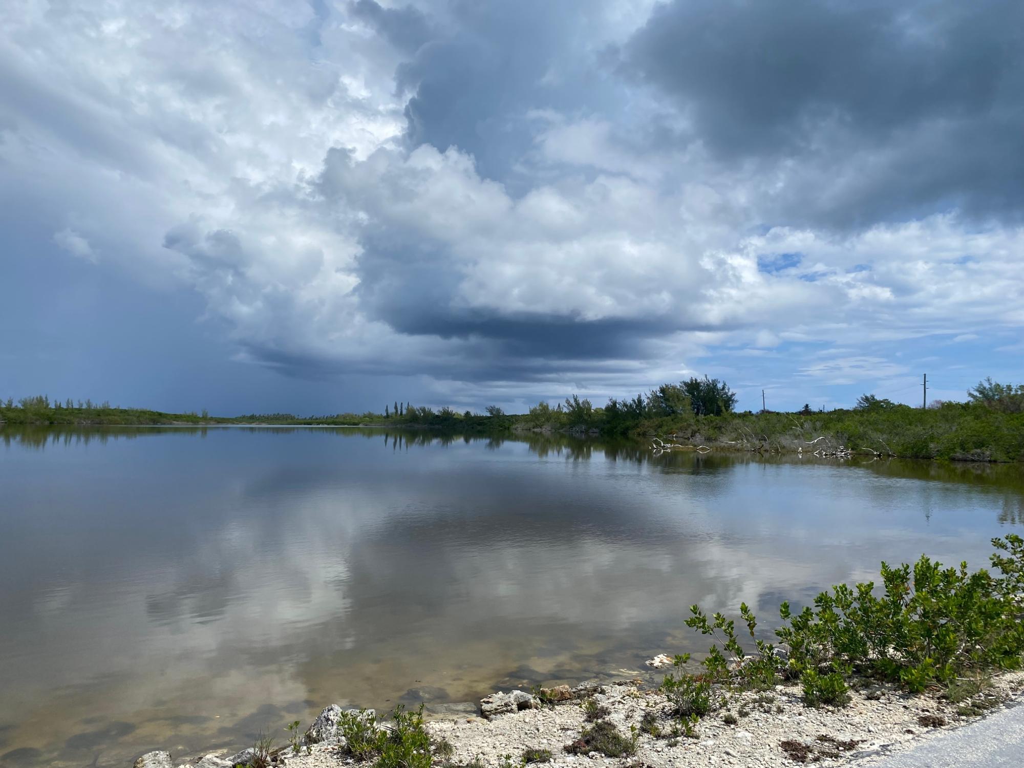 NORTH PALMETTO POINT, ELE