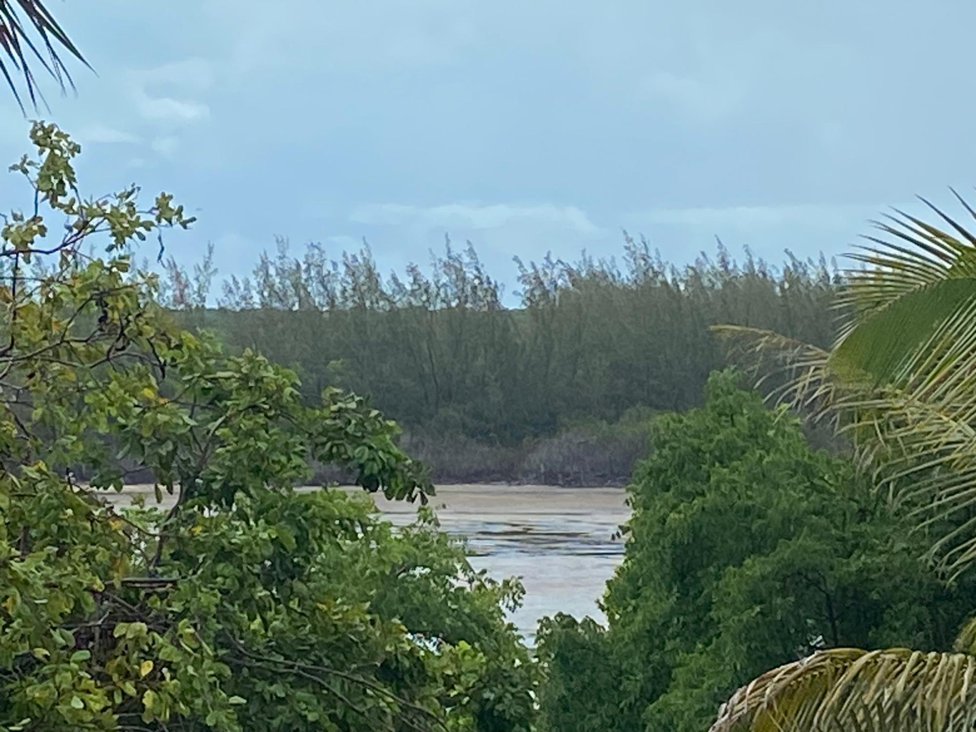 NORTH PALMETTO POINT, ELE