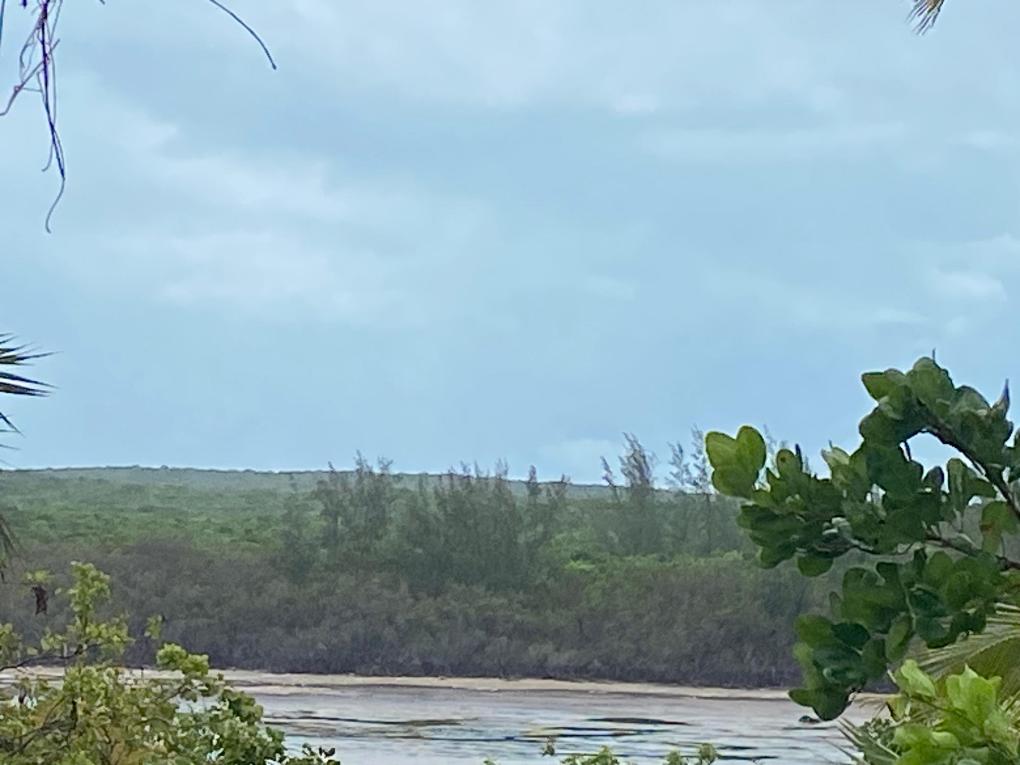 NORTH PALMETTO POINT, ELE