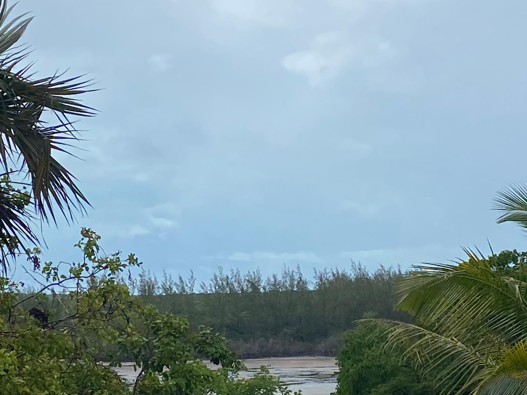 NORTH PALMETTO POINT, ELE