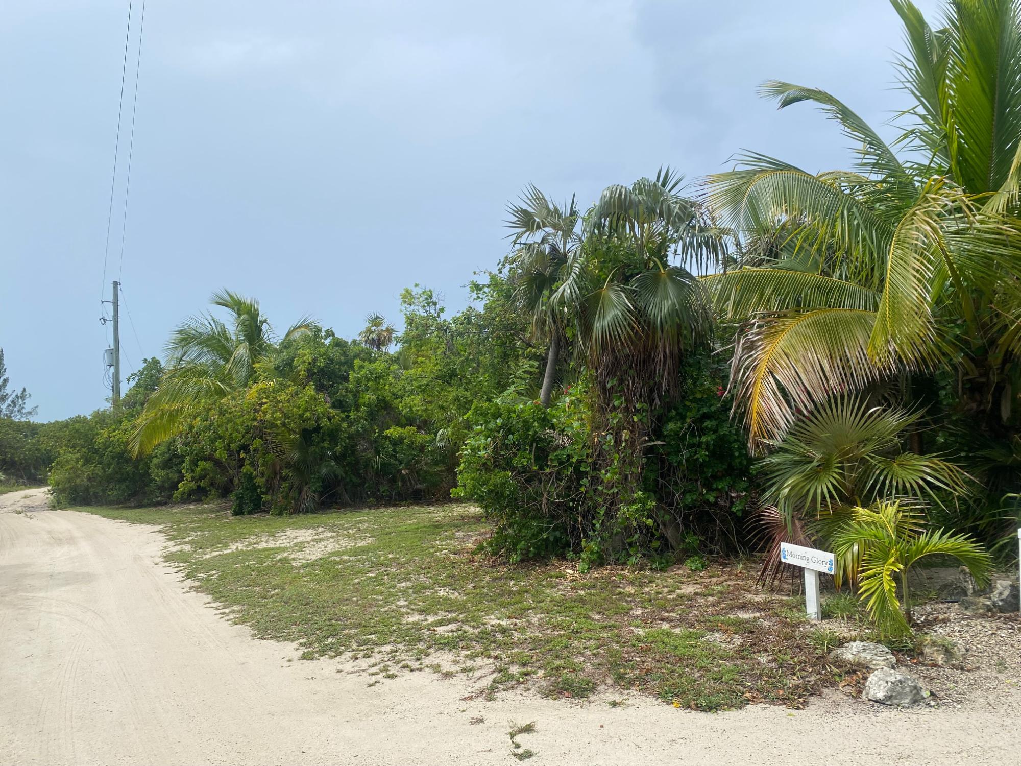 NORTH PALMETTO POINT, ELE