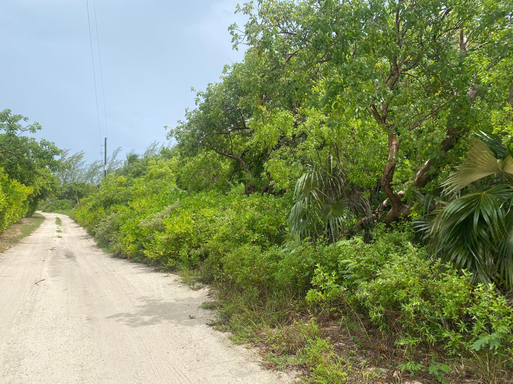 NORTH PALMETTO POINT, ELE