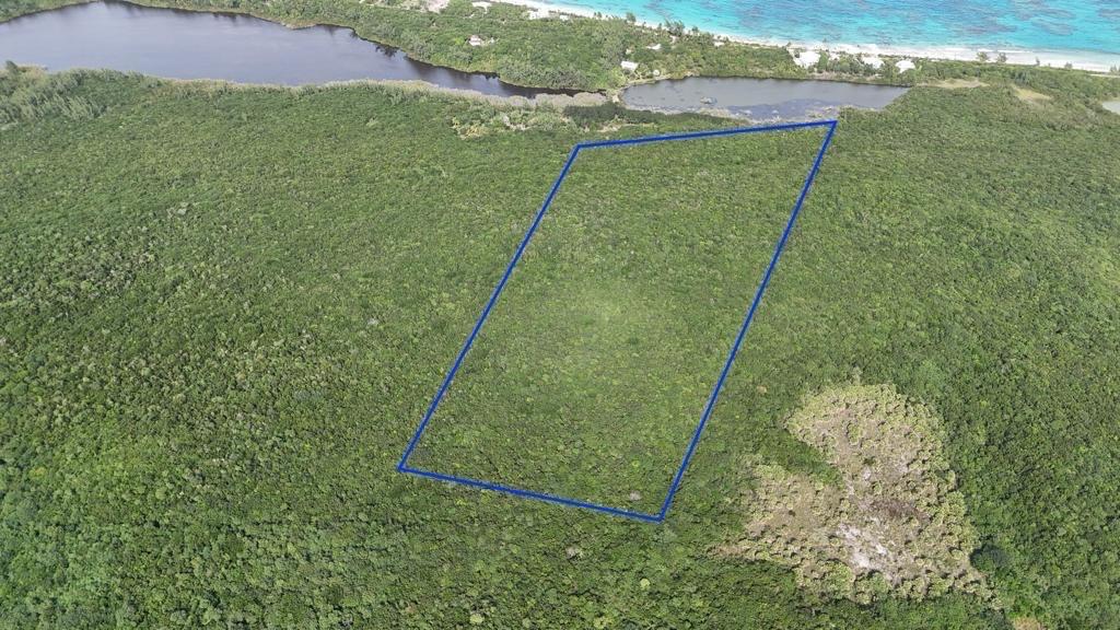 NORTH PALMETTO POINT, ELE