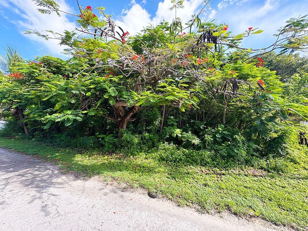 LOT 11 BLK 1 VENICE  BAY