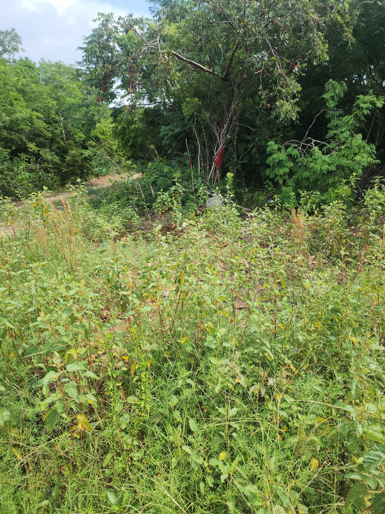 ROCK SOUND ELEUTHERA