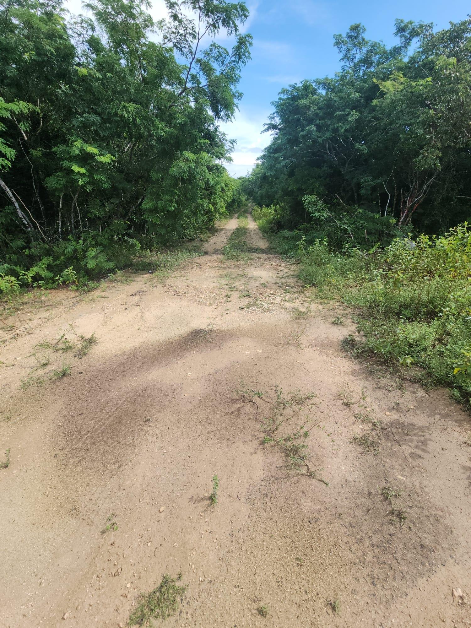 ROCK SOUND ELEUTHERA