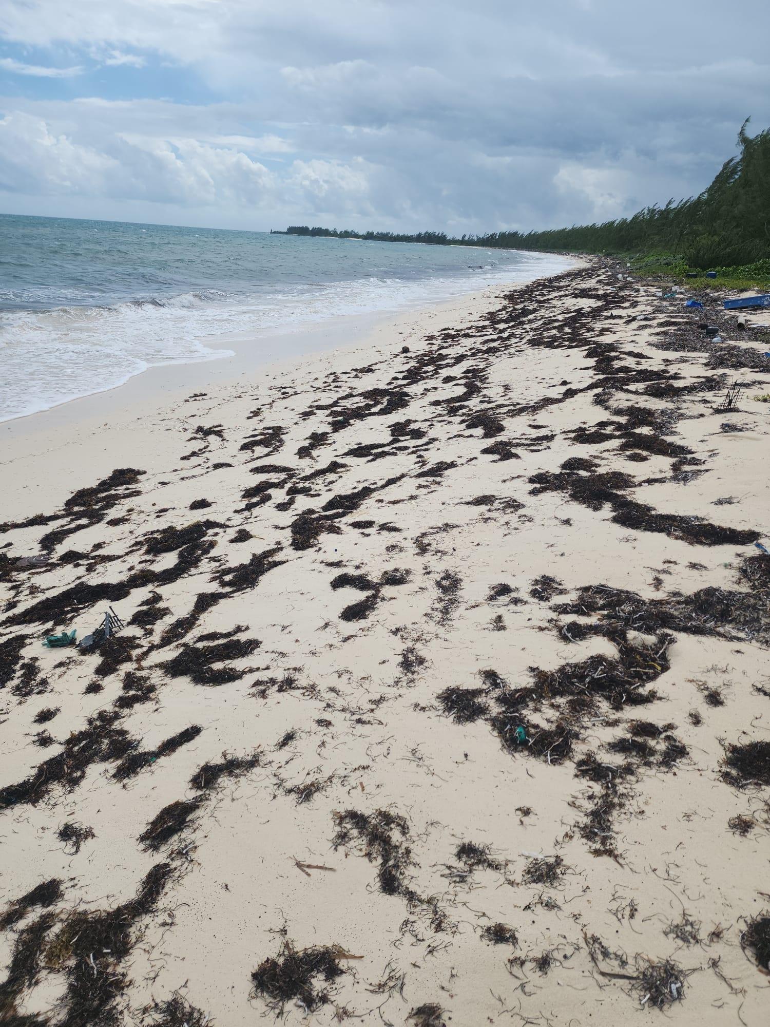 ROCK SOUND ELEUTHERA
