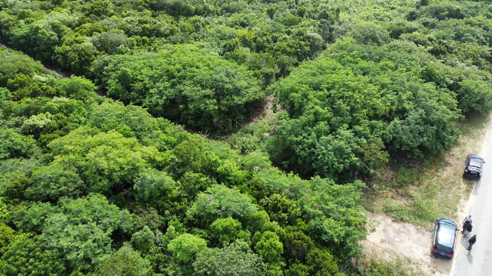 ROCK SOUND ELEUTHERA