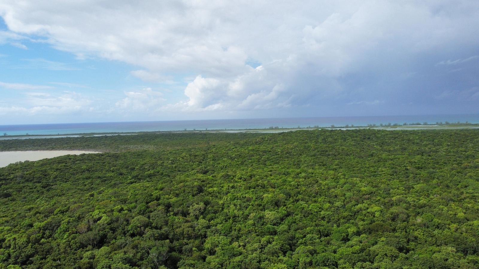 ROCK SOUND ELEUTHERA