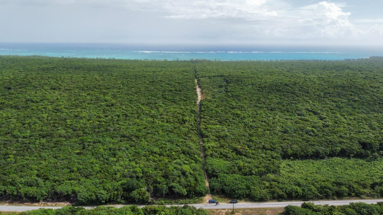 ROCK SOUND ELEUTHERA