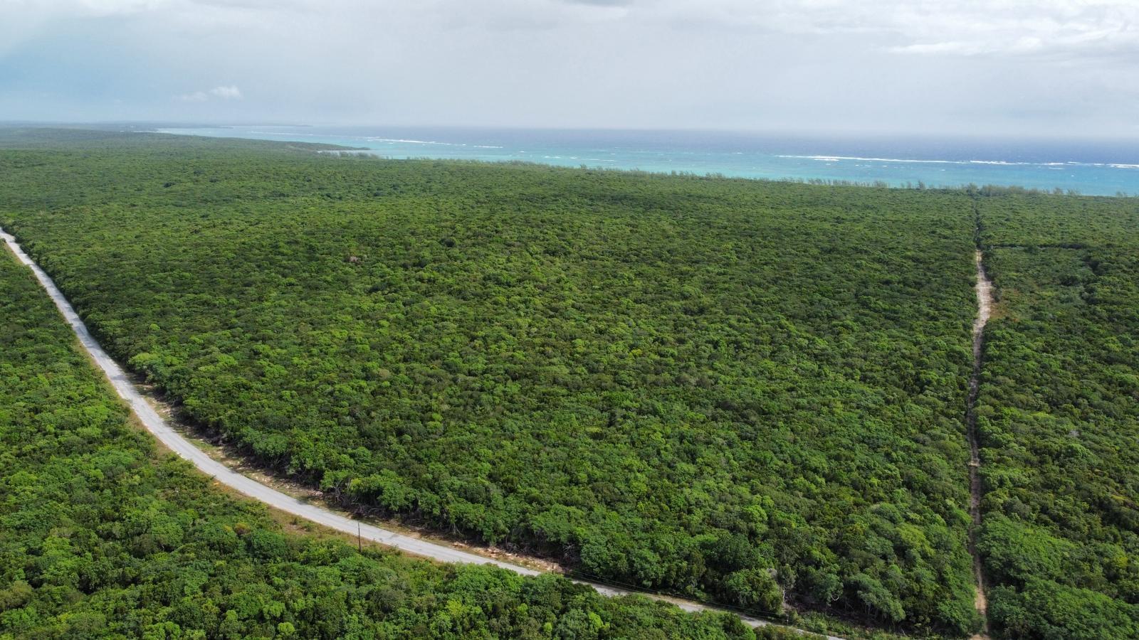 ROCK SOUND ELEUTHERA