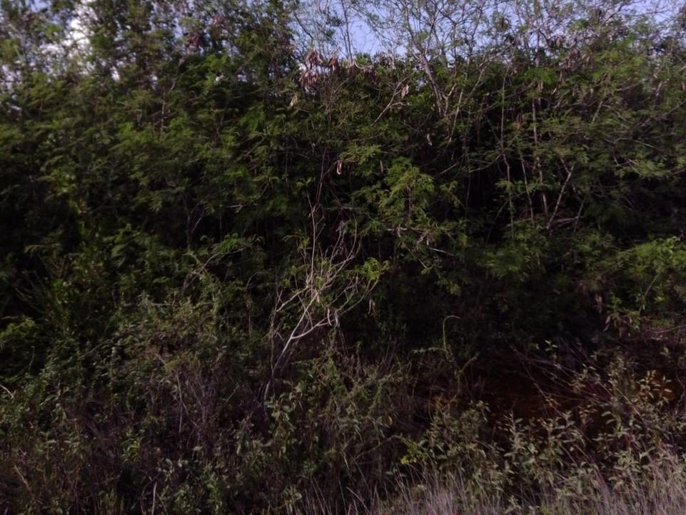 LOT 26 COLUMBUS LANDING