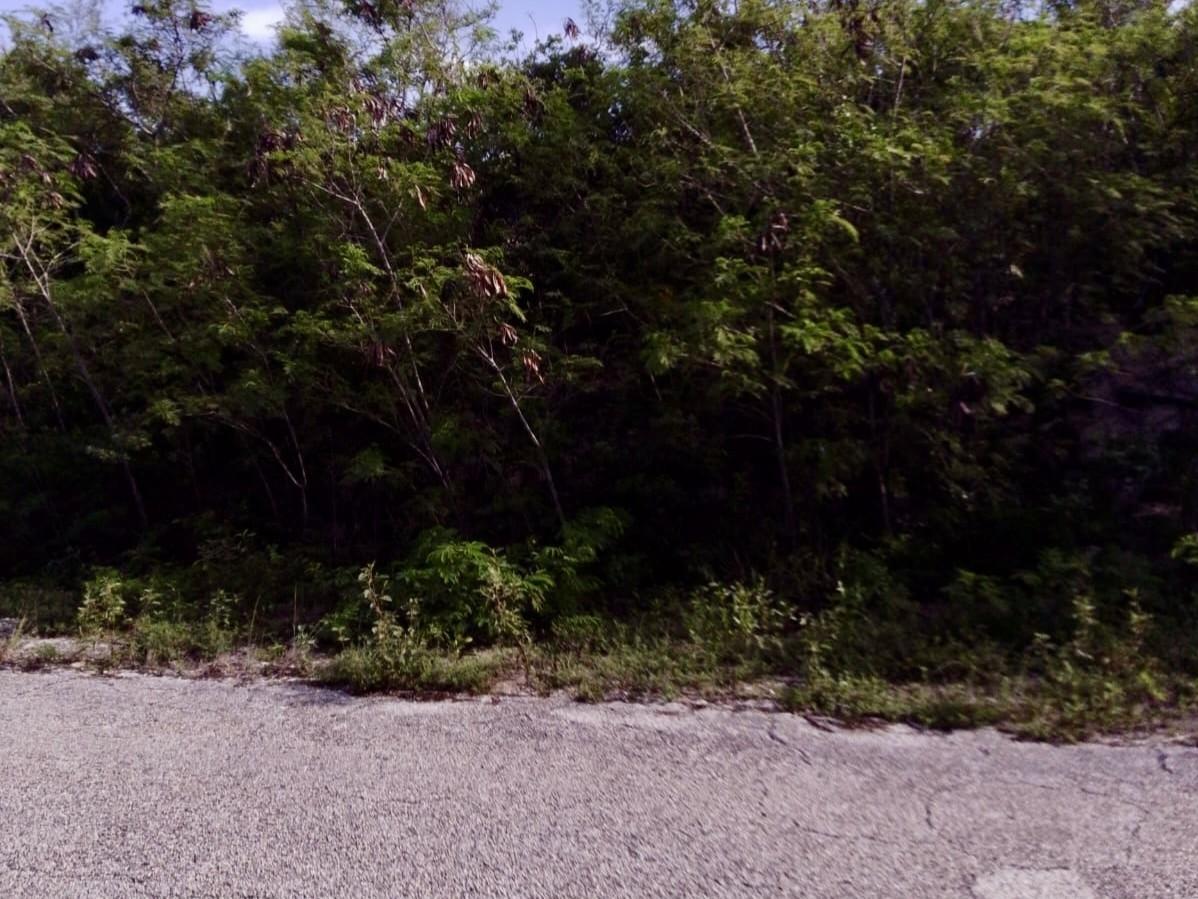 LOT 26 COLUMBUS LANDING