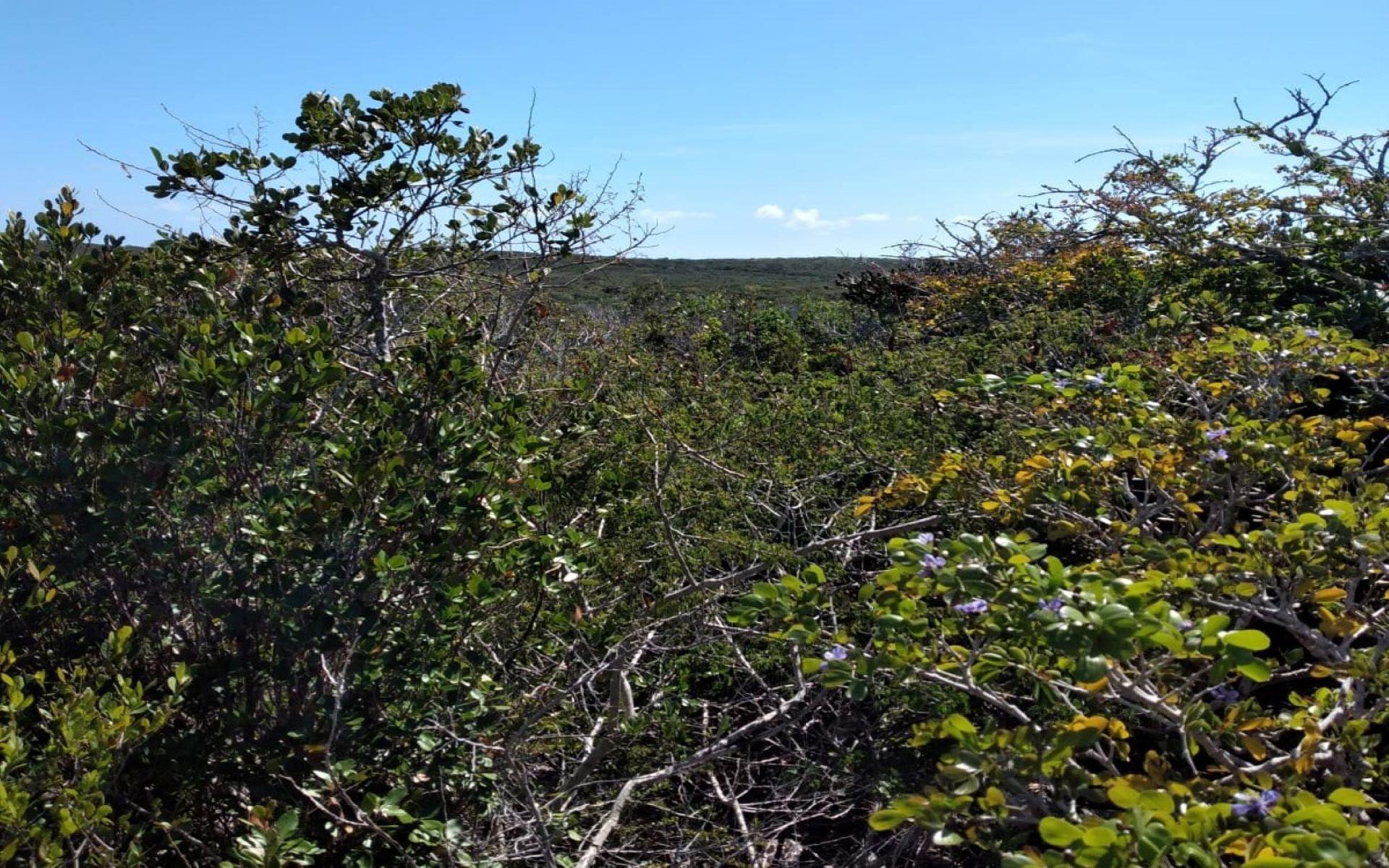 LOT 26 COLUMBUS LANDING