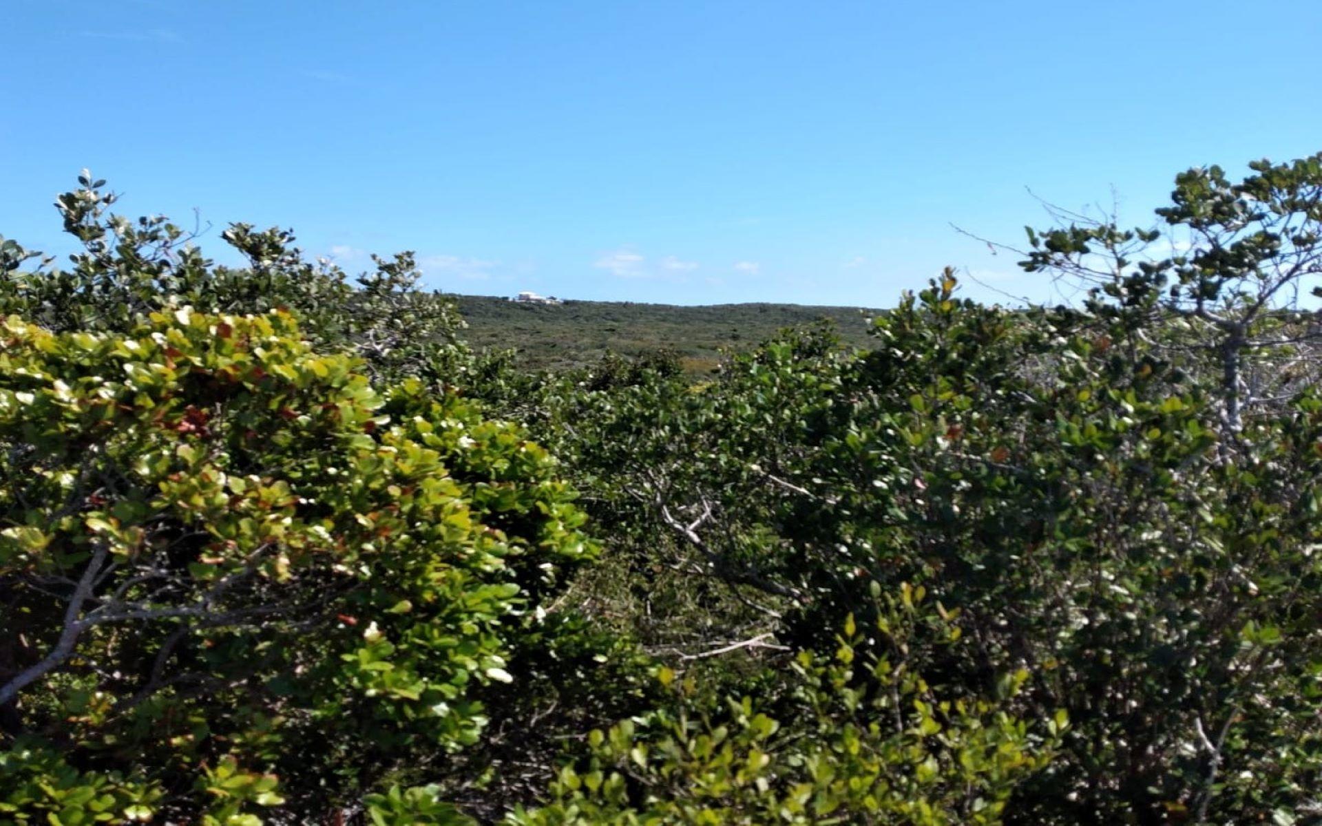 LOT 26 COLUMBUS LANDING