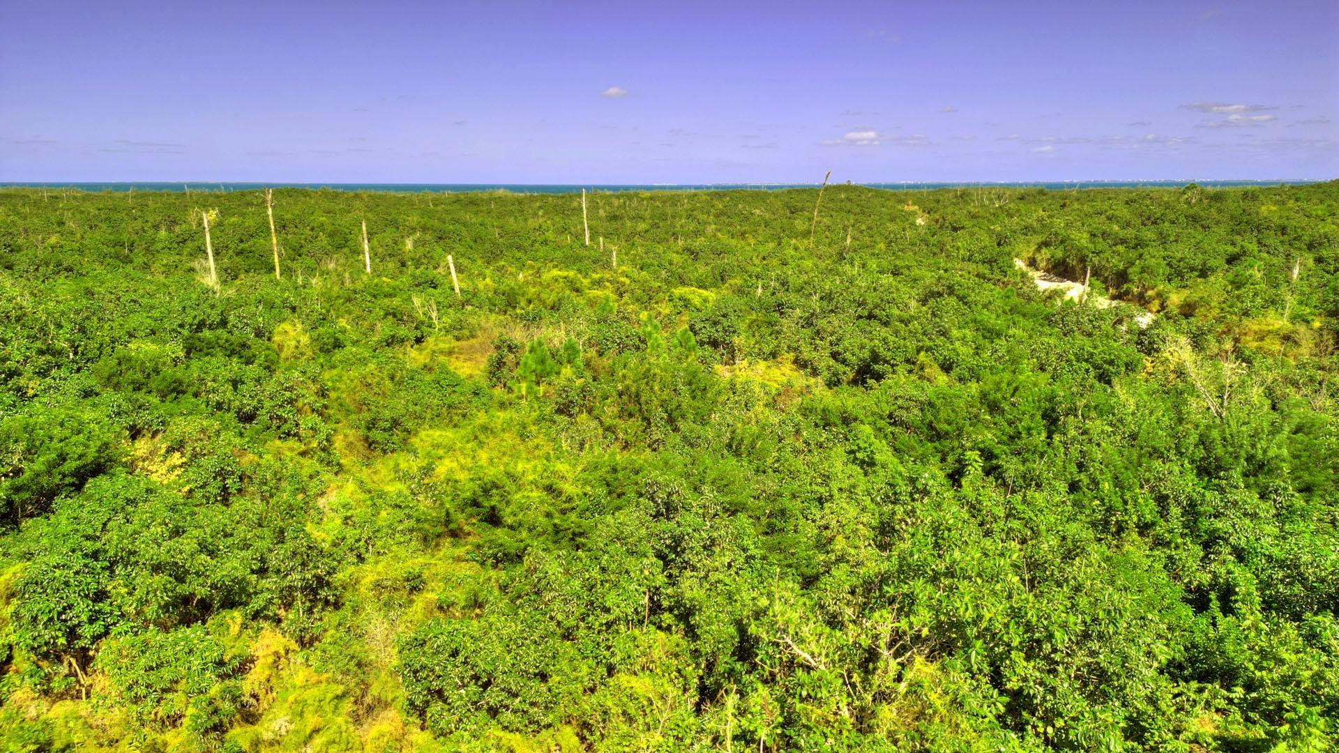 39 ACRES BAKER’S HEIGHTS