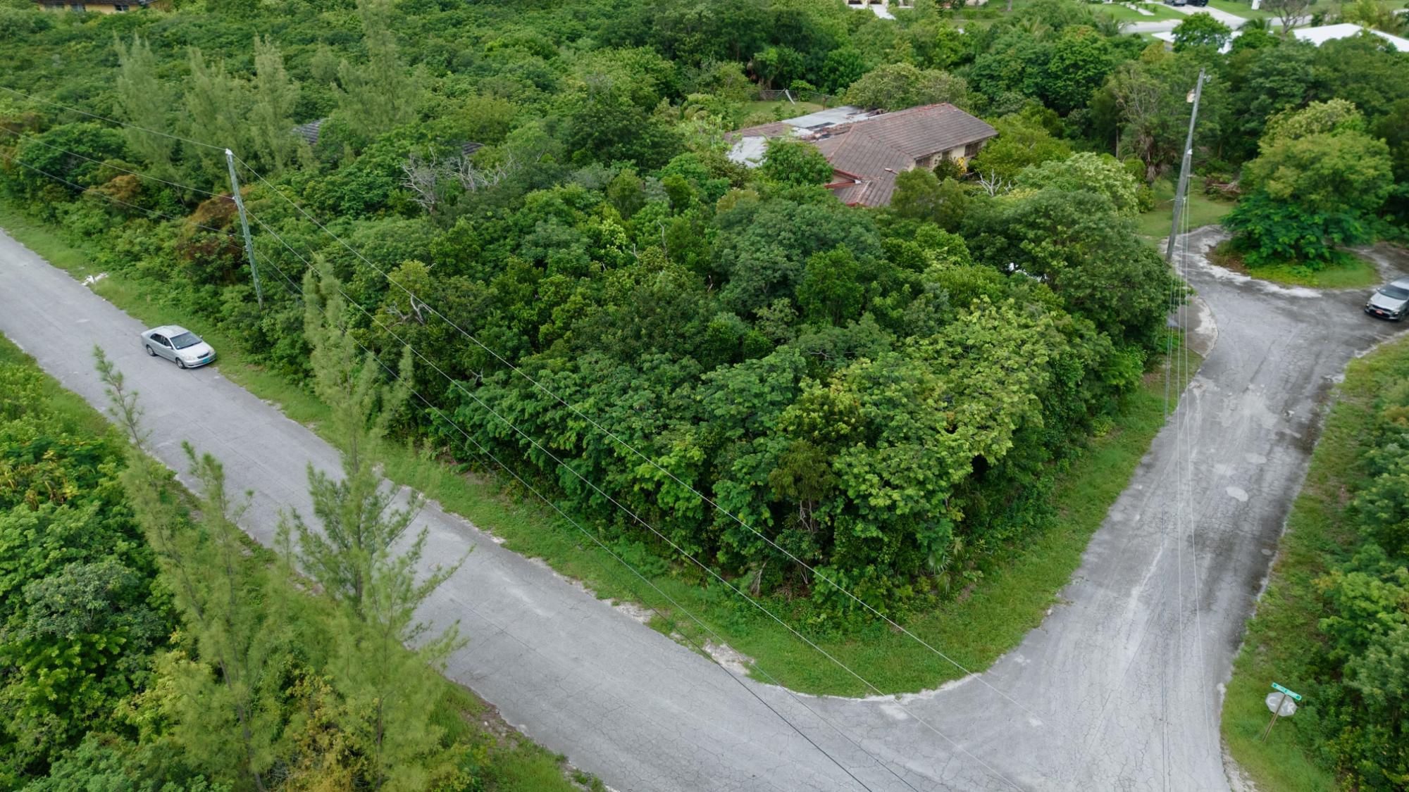 Grand Bahama Lot