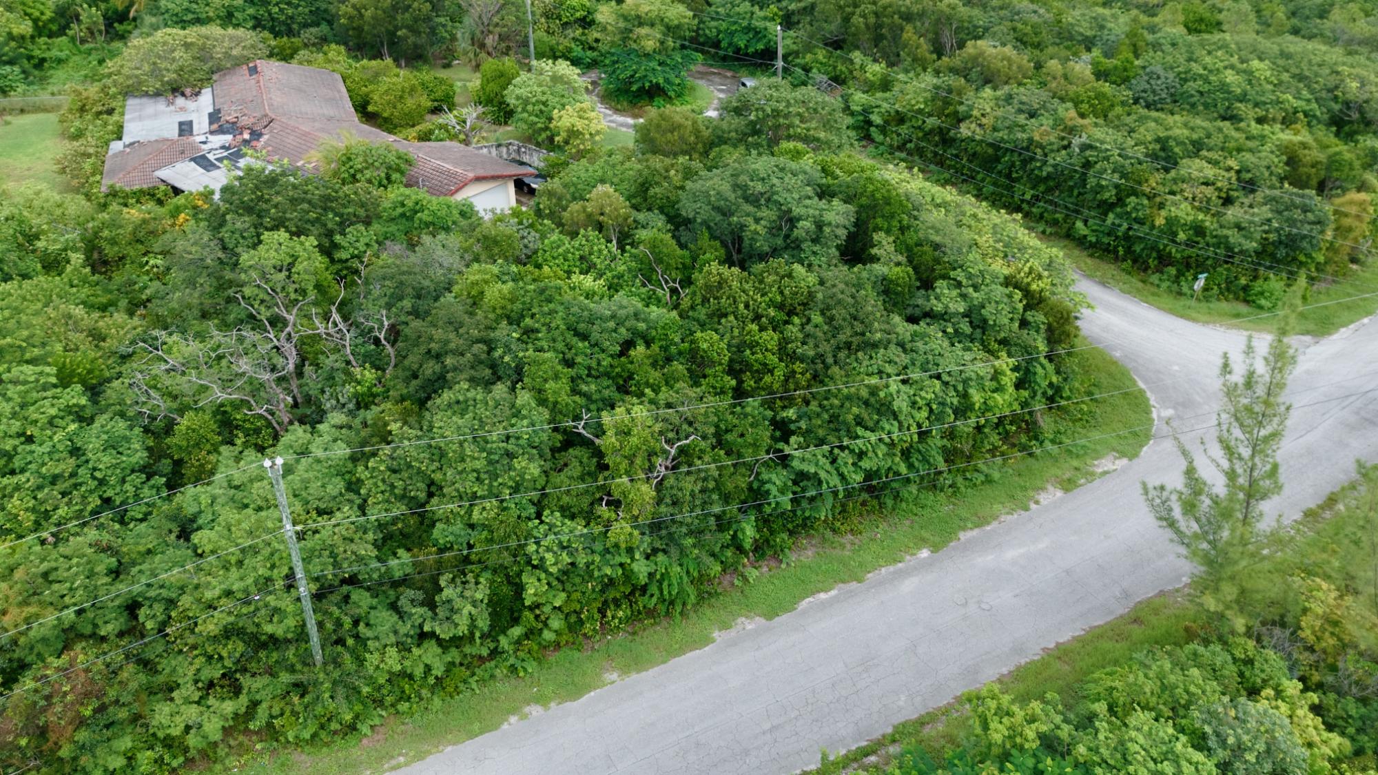 Grand Bahama Lot